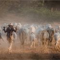 End of a Long Hot Day by Debbie Highton