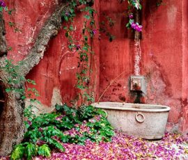 Roman Bath 1