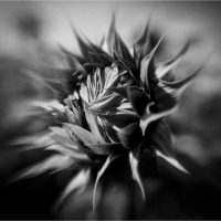 "Unfolding" by Ann Cochrane