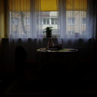 "Curtains and Blinds" by Maciej Korzeniowski