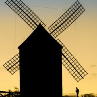 "Don Quixote 2024" by Connie Kinley