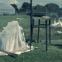 "The Bride, the Groom and their guests on expired film", by Suzanne Little