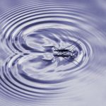 =2nd place, Members' Choice PDIs