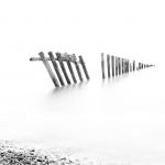 =3rd place, Members' Choice Prints