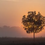 Highly Commended, "Eclipsed Sunrise", by Mike Tibbotts