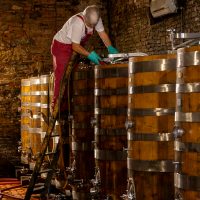 Certificate Print 1 2025-2026