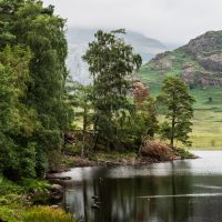 Certificate Print 1 2025-2026