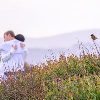 Voyeur, by Matthew Crees