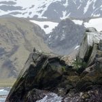 Highly Commended, "Guardian of the Cliff," by Robert Hewitt Guardian of the Cliff, by Robert Hewitt