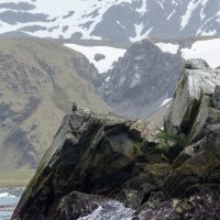 Guardian of the Cliff, by Robert Hewitt Guardian of the Cliff, by Robert Hewitt