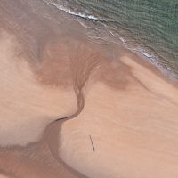 Where do I go from here?, Stephen Wilder Where do I go from here?, Stephen Wilder