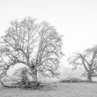 Fallen Heroes, by Stephen Wilder