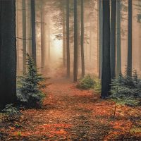 Dorking_04_Into the Unknown, by Bogdan Schiteanu