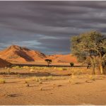 "Namib Desert Morning" by Rob Bonfield