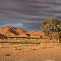 "Namib Desert Morning" by Rob Bonfield